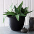 The HC Companies 14 Inch Sevilla Round Self Watering Planter - Decorative Lightweight Plastic Plant Pot for Indoor Outdoor Plants Flowers Herbs, B...
