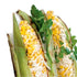 Urban Accents Chipotle Parmesan Seasoning Blend, 2.7 oz...