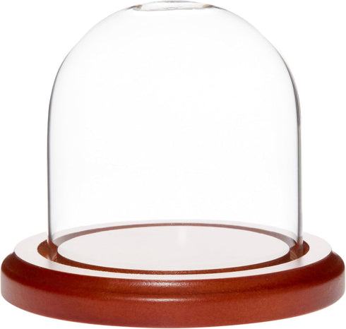 Plymor 3" x 3" Glass Display Dome Cloche (Walnut Base)...