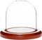 Plymor 3" x 3" Glass Display Dome Cloche (Walnut Base)...