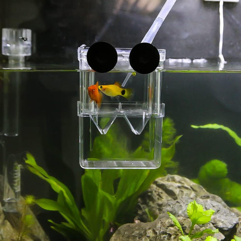 Senzeal Aquarium Fish Breeder Box Plastic Fish Isolation Breeding Box Hatching Incubator Box for Baby Fish Shrimp Clownfish Guppy...