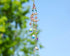 Handmade Crystal Moon&Star Prisms Suncatchers, Glass Window Hanging Ornament, Rainbow Rhinestones Decor for Home Garden...