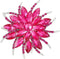 Urberry Crystal Flower Brooch Pin for Women Girls Brides (Hot pink)...