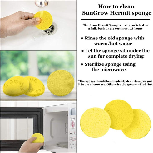 Hermit Crab Sponges for Water, 3 Pack Unbleached Hermit Crab Accessories & Supplies, Pet Crab Sponges Provide Nutrients and Maintain Tank Humidity...