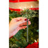 Scentsicles O Christmas Tree Bottle Bundle, Model:01631-001T...