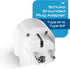 Ceptics SA-EU South Africa to Europe Schuko Grounded Plug Adapter (250V - Max 13A)...