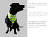 2 Pack REFLECTIVE DOG BANDANA Large/medium/small with Personalized Neon Color,Safety Dog Bandana Orange Dog Scarf High Visibility Bib Dog Walking ...