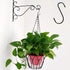 5 inch Extra Large S Hooks for Hanging, 6 Pack Heavy Duty Black S Hooks for Closet,Jeans Plants Jewelry Kitchen Pot Pan Cups Towels Hats...