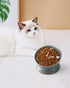 Elevated Cat Food Bowl, 5 Oz Ceramic Raised and Tilted Water Bowl, Anti Vomiting and Protect Pets' Spines Dishes for Small Dog, Fat Faced Cat, Kit...