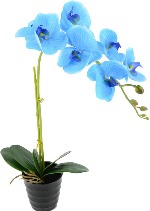 20" (50cm) LED Blossom Orchid Flower Pot Lighted Bonsai 7PCs Warm LED with 2*AA Battery Pot,7 PCs Real Touch Flowers with Buds...