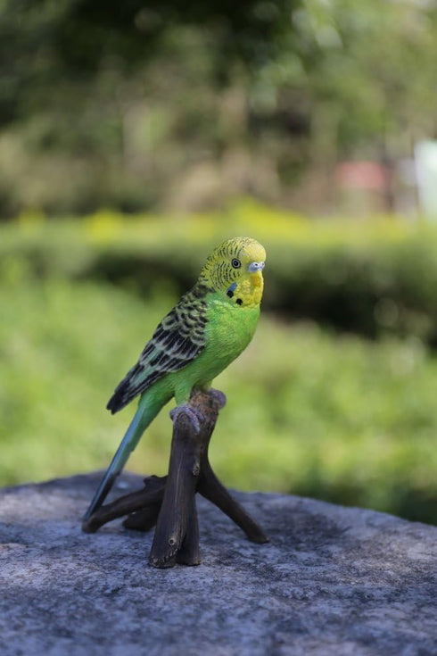 Hi-Line Gift Ltd Budgie on Branch Statue,Green...