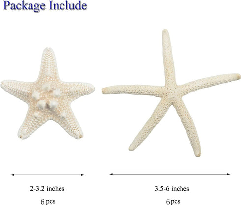 Jangostor 12 PCS Starfish 2-6 Inch Mixed Starfish Natural Seashells Starfish Star Fish Shells Decorations Perfect for Wedding Decor Beach Theme Pa...