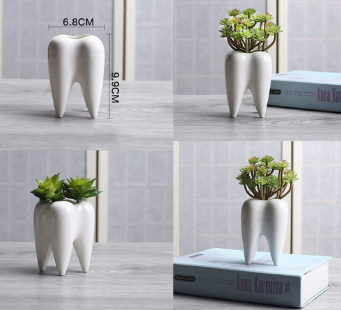Ceramic Tooth Shaped Pen Pencil Toothbrush Holder Pot Succulent Plant Pot Home Office School Dentists Gift Ideal Gifts for Women, Mom or Birthdays...