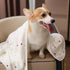 Luciphia 1 Pack 2 Pet Blankets for Dogs Cats, Fleece Print Dog Cat Blankets for Small Medium Large Puppy Kitten, Dot Grey White Medium(30x20 inch)...