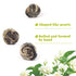 LWXLJMJZC?100g/3.53oz Jasmine Dragon Pearls Loose Leaf Green Tea with Pleasant Jamsine Aroma-Jasmine Tea Suitable For Both Hot And Cold...