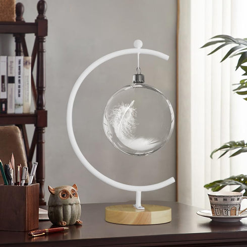 YY YEARCHY Ornament Display Stand Large Metal Air Plant Flower Pot Holder Iron Pothook for Hanging Glass Terrarium Globe Ball...