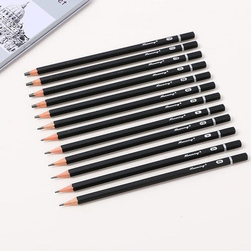 Drawing Sketch Pencils Set 4H 2H H HB B 2B 4B 6B 8B 10B 12B 14B Art Supplies for Drawing Art Sketching Shading Artist Pencils, 12 Count Black...