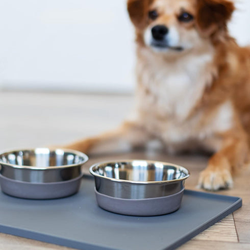 Messy Mutts Stainless Steel Heavy Gauge Bowl with Non-Slip Removable Silicone Base | Durable Indoor/Outdoor Dog Bowl | Warm Grey | Medium, 2.5 Cup...