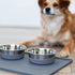 Messy Mutts Stainless Steel Heavy Gauge Bowl with Non-Slip Removable Silicone Base | Durable Indoor/Outdoor Dog Bowl | Warm Grey | Medium, 2.5 Cup...