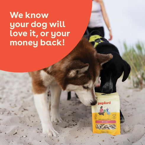 Pupford Freeze Dried Minnows for Dogs & Puppies - Healthy, Natural, Single Ingredient Dog Treats - Made in USA (1.5 oz)...