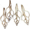 4PC Large Fox Center Slicen Shells for Crafts Windchimes Shellcraft Home Decor Apprx 6.5" Inch...