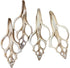 4PC Large Fox Center Slicen Shells for Crafts Windchimes Shellcraft Home Decor Apprx 6.5" Inch...