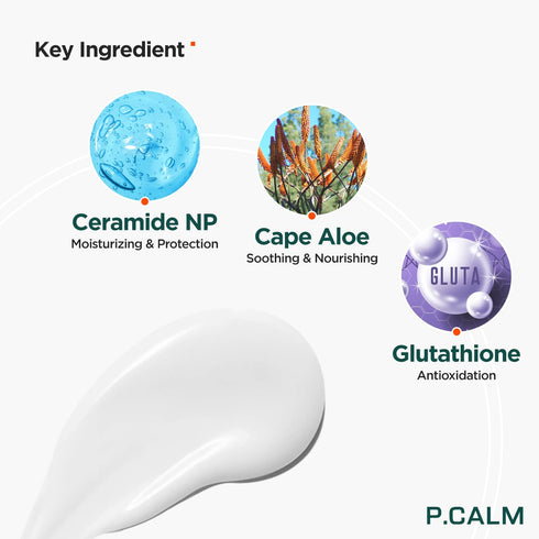 P.CALM Water Barrier Moisturizing Sun Cream Matte-Finish No White Cast SPF 50+ PA++++ Vegan Calming Moisture Daily Sunscreen for Dry Oily Sensitiv...