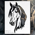 Horse Head Stencil Template Reusable 8.5 x 11" Inches for Painting on Walls, Wood, Glass, Any Surface, Scarpbooking, Graffity, Arts and Crafts, DI...