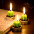Swpeet 12Pcs Decorative Succulent Cactus Tealight Candles Kit, Cute Smokeless Succulent Plants Perfect for Candles Festival Wedding Props and Hous...