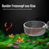 Aquarium Shrimp Feeder Dish with Suction Glass Fish Tank Feeding Bowls, Round Clear Dishes Tray, Non-Toxic, Safe, Dense, Smooth, Long-Term Use, 6 ...