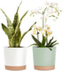 kubvici 8'' Plastic Flower Planter Pots Set of 2 Indoor Outdoor Planters with Drainage Saucer for Garden Home (Green & White, 8 inch)...