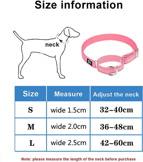 Martingale Heavy Duty Nylon Dog Collar, Soft Neoprene Padded Breathable Nylon Pet Collar for Small Medium Large Dogs (S, Blue)...