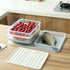 Food Storage Bin Vegetable Organizer with Lid Clear Fridge Crisper Keep Food Fresh BPA Free Kitchen Organizer Bins (Grey-L-SIZE with MAT)...