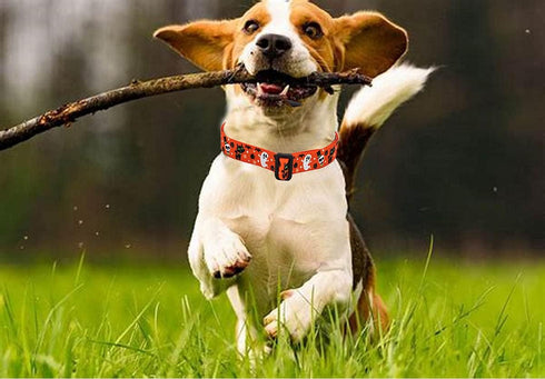 Halloween Dog Collar - Pumpkin Bat Ghost Pattern - Adjustable for Small Medium Large Dogs(Halloween,S)...