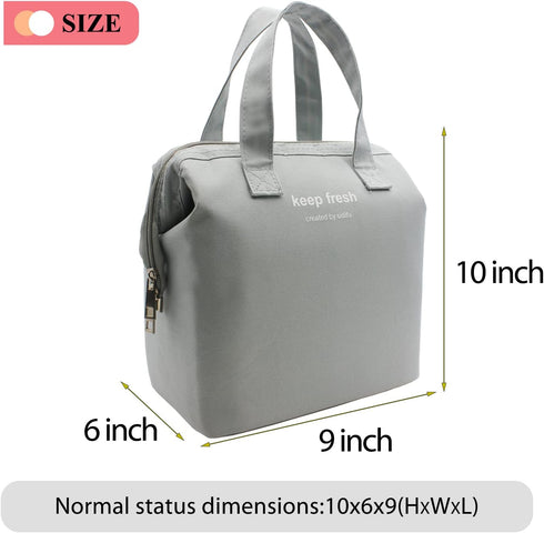 Mziart Insulated Lunch Bag Simple Bento Cooler Bag Lunch Tote Bag for Lunch Box for Women Men Adult Picnic Working Hiking Beach (Grey)...