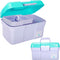 11in Mutipurpose Storage Box Organizer with Removable Tray, Portable Small Craft Box with Handle, Plastic Clear Tool Box Art Case for Makeup, Sewi...