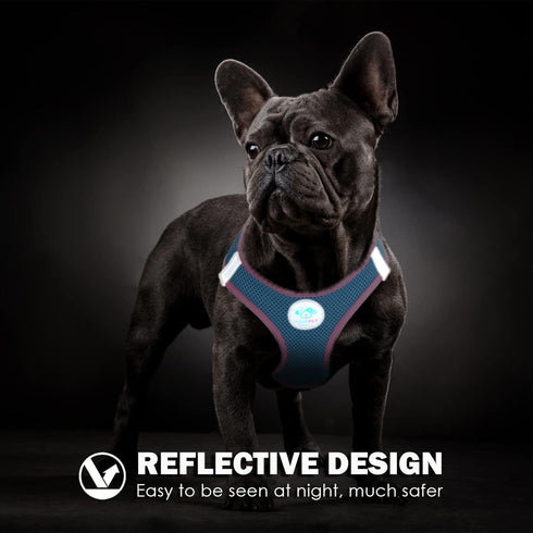 PHOEPET Step-in Dog Harness,Reflective Adjustable Dog Vest Harness, Soft Pet Walking Jacket with 2 Metal Leash Hooks for Dog and Cat(Baby Blue Bas...