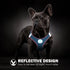 PHOEPET Step-in Dog Harness,Reflective Adjustable Dog Vest Harness, Soft Pet Walking Jacket with 2 Metal Leash Hooks for Dog and Cat(Baby Blue Bas...
