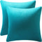 DEZENE Throw Pillow Cases 16x16 Turquoise: 2 Pack Cozy Soft Velvet Square Decorative Pillow Covers for Farmhouse Home Decor...