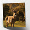 Maturi Stag Photographic Blank Birthday Greetings Card, 6" x 6" Square...
