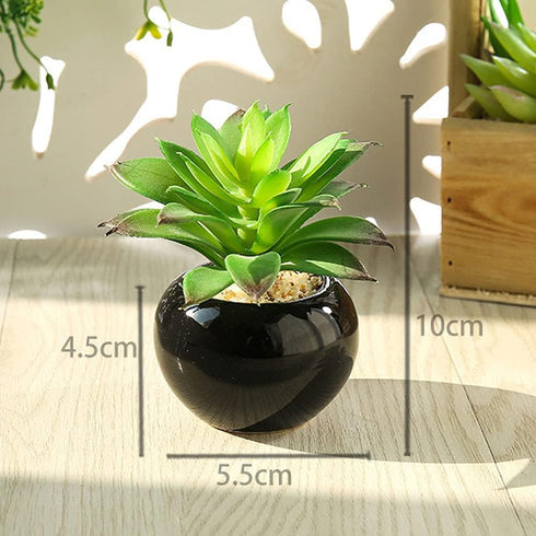Teensery 2 Pcs Mini Artificial Succulent Plants Pots with Black Round Ceramic Bowl for Home Decoration, Office Decoration, Gift and More...