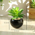 Teensery 2 Pcs Mini Artificial Succulent Plants Pots with Black Round Ceramic Bowl for Home Decoration, Office Decoration, Gift and More...