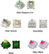 GATERON Keyboard Switches Tester 20PCS, Melodic Magnetic Jade Beer Quinn Mini i Smoothies Switches RGB LED for Mechanical Keyboard (20PCS)...