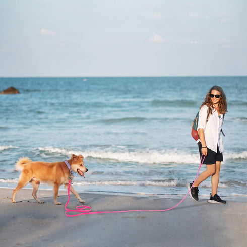 10ft Pink Long Leash Waterproof Training Dog Leash? Easy Care Leash Fit for Recall? Swimming? Camping? Beach? Hunting? Walking...