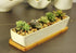 10.8inch White Ceramic Long Rectangular Succulent Planter Pot,Cactus Flower Planters Pots Container for Office,Window,Kitchen and Balcony...