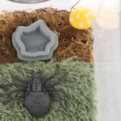 6 Pcs Spider Micro Water Bowl, Mini Resin Dish Tiny Bowl for Tarantula Spider Millipede Tiny Reptile (Small: 0.94" D, 0.47" H)...