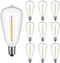 Couah 10 Pack Edison LED Light Bulbs, 0.6 watt E12 Screw Base Replacement Bulbs, LED Shatterproof Bulbs ST38 Clear Plastic Light Bulbs for Outdoor...