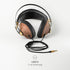 MEZE AUDIO | 1.2m Cable with Mic & Remote for 99 Classics Walnut Gold | 3.5 mm Male to Dual TS Mono 3.5mm Male Connector Plug | Kevlar Reinforced ...
