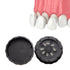 Denture Case,Dental All-Ceramic Veneer Processing Box, Denture Veneer Processing Box Round Shape Reusable Black Denture Storage Box with Spare Pad...