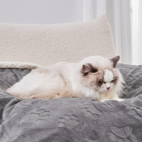 Qeils Dog Blankets for Small Dogs - Waterproof Cat Blanket Washable - Sherpa Fleece Puppy Blanket, Soft Plush Reversible Throw Protector for Bed C...